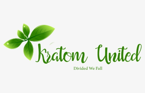 Kratom United - Calligraphy, HD Png Download, Transparent PNG