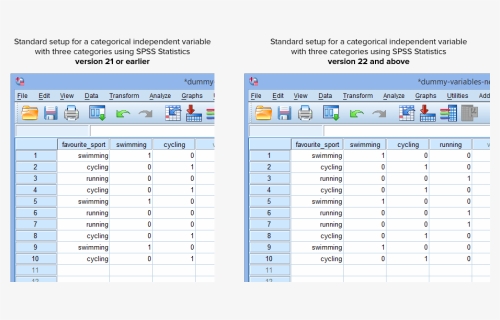 Data View Setup After Creating Dummy Variables In Spss - Examples Of Dummy Scales, HD Png Download, Transparent PNG