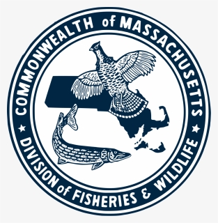 Division Of Fisheries And Wildlife Massachusetts Wikipedia - Emblem, HD Png Download, Transparent PNG
