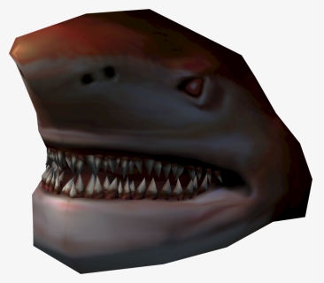The Runescape Wiki - Great White Shark, HD Png Download, Transparent PNG