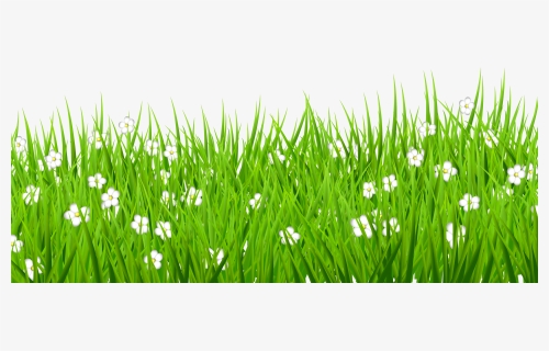 Png Stock Grass Background Clipart - Transparent Grass Flower Png, Png Download, Transparent PNG