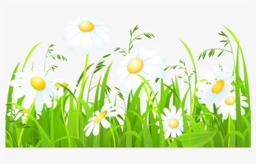 Free Png Download White Flowers And Grass Transparent - Grass Border Design Clipart, Png Download, Transparent PNG