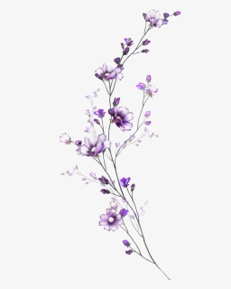 Delicate Flower Paintings, HD Png Download, Transparent PNG