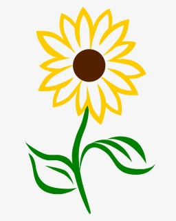 Show Posts Corbell In Sunflower Easy Flower Drawings Hd Png