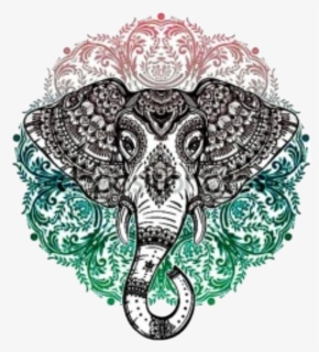 #elefante #elephant #mandala #hipster - Elephant Mandala, HD Png Download, Transparent PNG