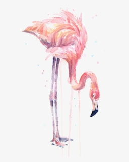Drawing Flamingos Watercolor - Flamingo Painting Watercolor, HD Png Download, Transparent PNG