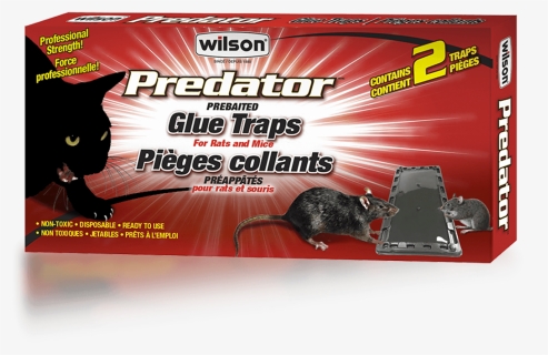 Wilson Predator Mice And Rats Glue Traps - Flyer, HD Png Download, Transparent PNG