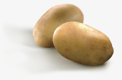 Transparent Potato Wedges Png - Yukon Gold Potato, Png Download, Transparent PNG