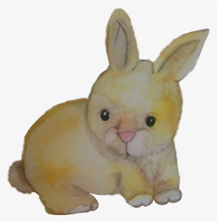 Baby Rabit Coelho Aquarela Watercolor Catarinazs - Domestic Rabbit, HD Png Download, Transparent PNG