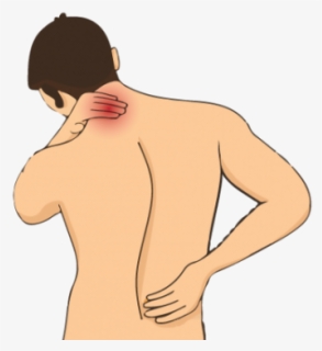 Get A Basic Understanding Of Back Pain - Barechested, HD Png Download, Transparent PNG