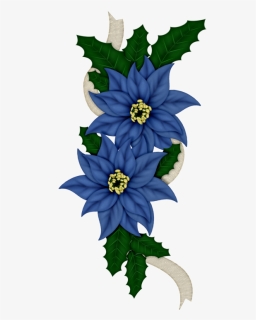 C Orig Kwiaty - Blue And White Poinsettia Flowers, HD Png Download, Transparent PNG
