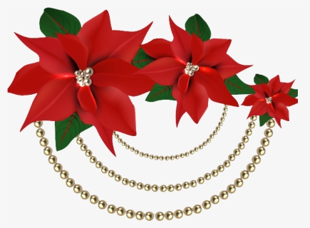Christmas Poinsettia Png File - Clipart Christmas Flower Png, Transparent Png, Transparent PNG
