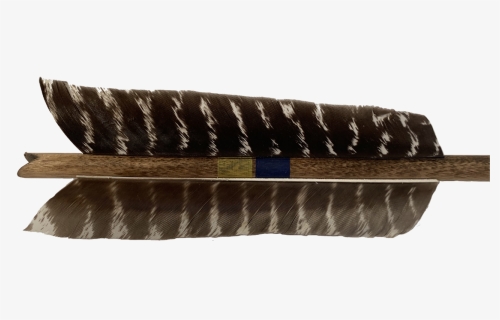 Extra Large, 6 Inch Naturally Banded Feathers - Scabbard, HD Png Download, Transparent PNG