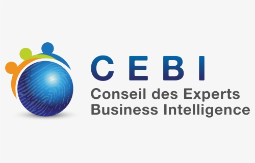 Conseil Des Experts Business Intelligence - Water Volleyball, HD Png Download, Transparent PNG