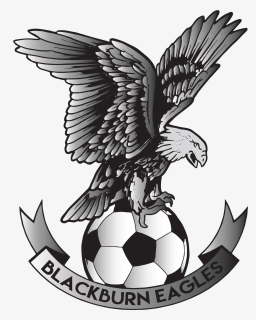 Pro Football Academy Futures - Blackburn Eagles Fc, HD Png Download, Transparent PNG