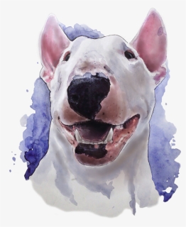 Bull Terrier, Watercolor - Watercolor Bull Terrier, HD Png Download, Transparent PNG