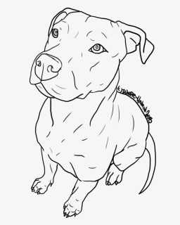Pitbull Drawing Kawaii - Easy Drawings To Trace, HD Png Download, Transparent PNG