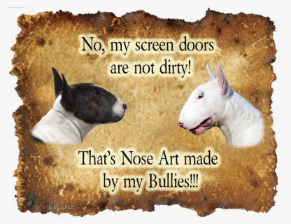 Bull Terrier (miniature), HD Png Download, Transparent PNG