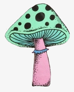 #trendy #mushroom #trippy #groovy #psychedelia #psychedelic - Edible Mushroom, HD Png Download, Transparent PNG