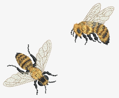 Machine Embroidery Mini Bee, HD Png Download, Transparent PNG