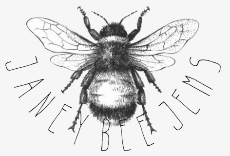 Drawn Bee Aesthetic - Vintage Bumble Bee Tattoo, HD Png Download ,  Transparent Png Image - PNGitem