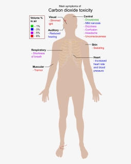 Main Symptoms Of Carbon Dioxide Toxicity Clip Arts - Main Symptoms Of Carbon Dioxide Toxicity, HD Png Download, Transparent PNG