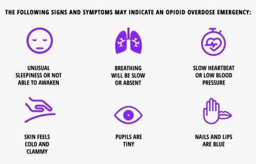 Signs And Symptoms Of Opioid Overdose Scottsdale Detox - Narcotic Overdose Symptoms, HD Png Download, Transparent PNG