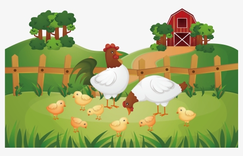 Animal Farm Chicken Rooster Poultry Farming - Poultry Farm Png, Transparent Png, Transparent PNG
