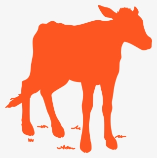 Transparent Cow Jumping Clipart - Cattle, HD Png Download, Transparent PNG
