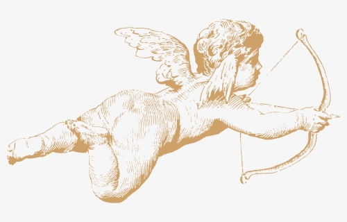 Transparent Cherub Wings Png - Cherub Drawing, Png Download, Transparent PNG