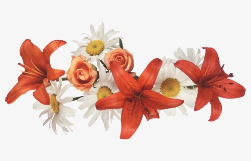 Transparent Coronas De Flores Png - Orange Flower Crown Transparent, Png Download, Transparent PNG