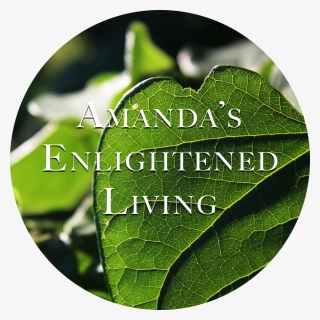Amanda S Enlightened Living - Heart, HD Png Download, Transparent PNG