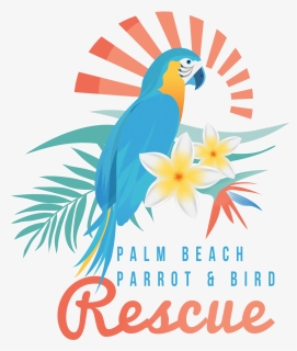 Palm Beach Parrot Rescue, HD Png Download, Transparent PNG
