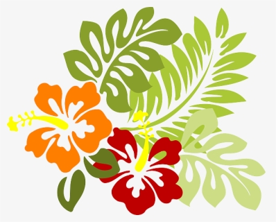 Vectores De Hojas Tropicales - Hibiscus Clip Art, HD Png Download, Transparent PNG