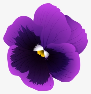 Violet Flower Transparent Background, HD Png Download, Transparent PNG