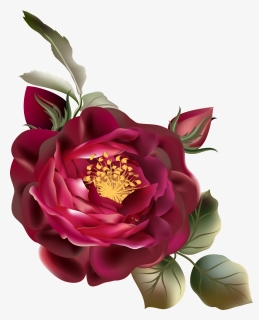 Png De Ornamentação De Cor De Rosa Vermelha - Vintage Flor Vermelha Png, Transparent Png, Transparent PNG