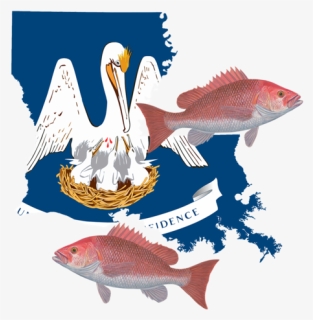Flag Of Louisiana, HD Png Download, Transparent PNG