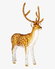 Illuminated Reindeer Clip Art - Light Up Reindeer Png, Transparent Png, Transparent PNG