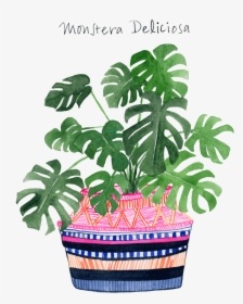 Monstera Web 2016 , Png Download - Muhammad, Transparent Png, Transparent PNG