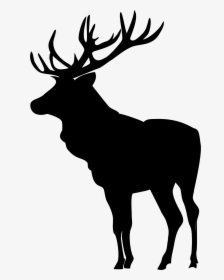 Moose Profile Silhouette At - Moose Clipart, HD Png Download, Transparent PNG