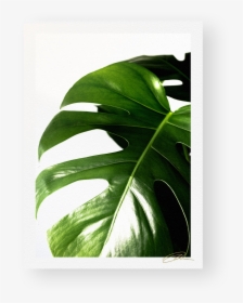 Web Template B4, HD Png Download, Transparent PNG
