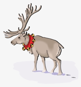 Transparent Caribou Clipart - Cartoon, HD Png Download, Transparent PNG