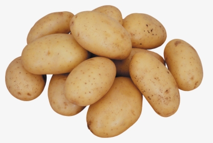 Potato Png, Transparent Png, Transparent PNG