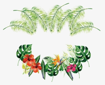 Tropical Vector - Transparent Tropical Plants Png, Png Download, Transparent PNG