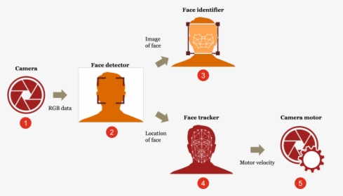 Face Detection Using Deep Learning - Deep Learning Face Detecting, HD Png Download, Transparent PNG