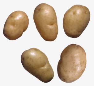 Potato Free Png Image - Boiled Potato No Background, Transparent Png, Transparent PNG
