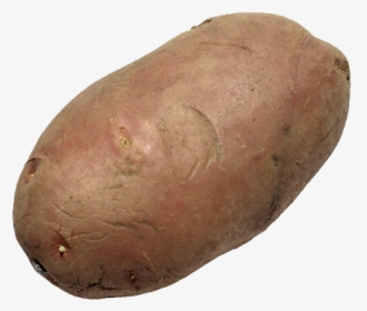 Potato With No Background, HD Png Download, Transparent PNG