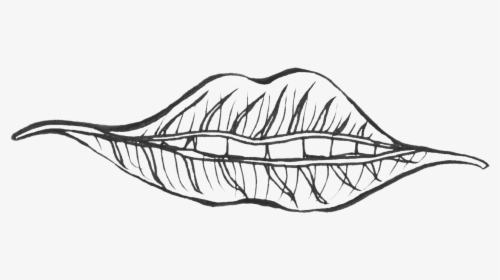Gallery-image - Sketch, HD Png Download, Transparent PNG