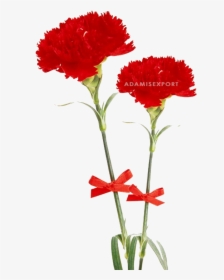 Dia Delas Madres Sin Texto, HD Png Download, Transparent PNG
