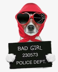 Bad Girl , Png Download - Bad Girl Jack Russell, Transparent Png, Transparent PNG